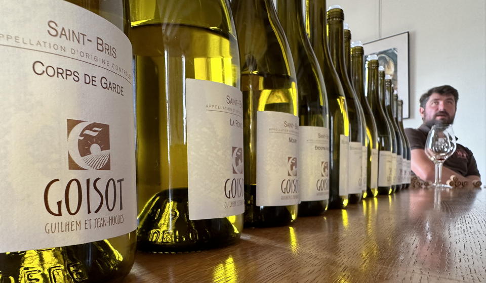 Chablis 2022-2023: Here Comes the Sun King (Aug 2024) | Vinous